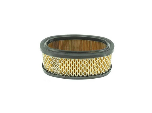 Filtre à air 4100222 = Briggs & Stratton 393406