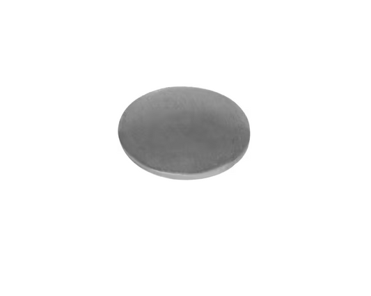 Plaquette Briggs & Stratton 699810