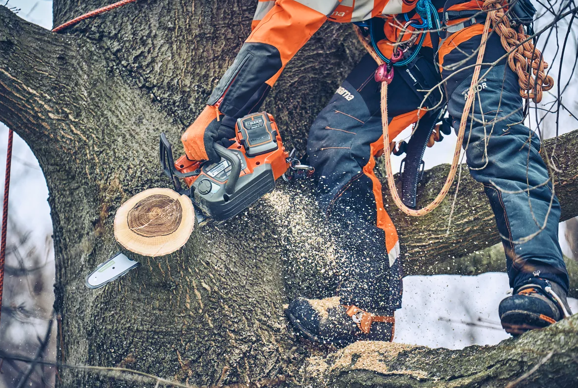 Tronçonneuse professionnelle à batterie Husqvarna T542iXP