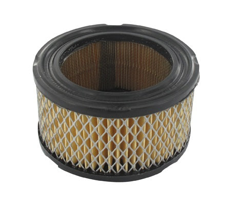 Filtre à air TECUMSEH 31925 / 25 883 01-S1 / 231847 / 231847-S1 / AM30800