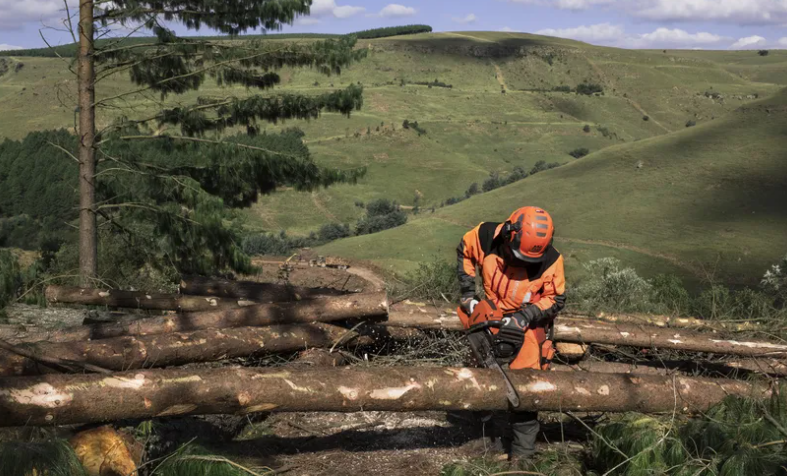 Tronçonneuse Husqvarna 565 - 3/8 - 1,5mm - Guide 50cm - 70,7 cm3 - 6,5 kg