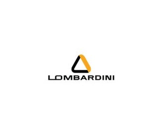 Coussinet Lombardini 1630006 / 1630.006 / ED0016300060-S