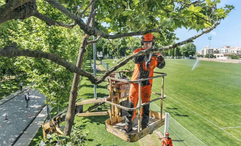 Tronçonneuse élagueuse Husqvarna T435 - 3/8 mini - 1,3mm - Guide 35cm - 35,2 cm3 - 3,4 kg