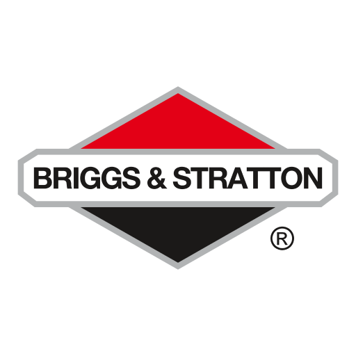 Pièces Détachées - Briggs & Stratton