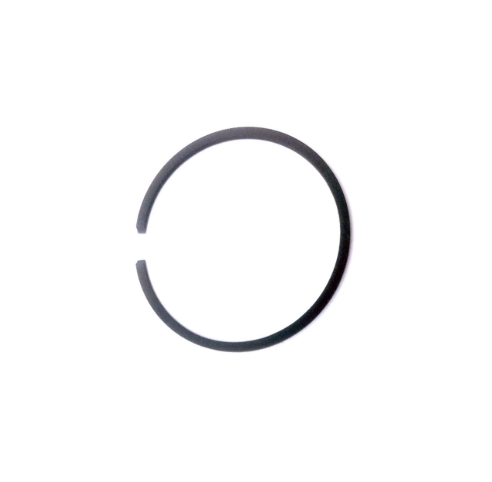 Segment Echo 10001146430