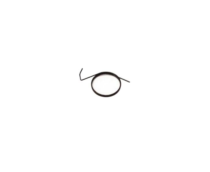 Ressort cliquet lanceur Echo 17723419832