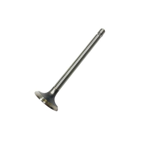Soupape échappement Briggs & Stratton 262246
