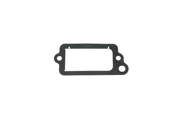Joint cache soupape 5401318 = Briggs & Stratton 695890