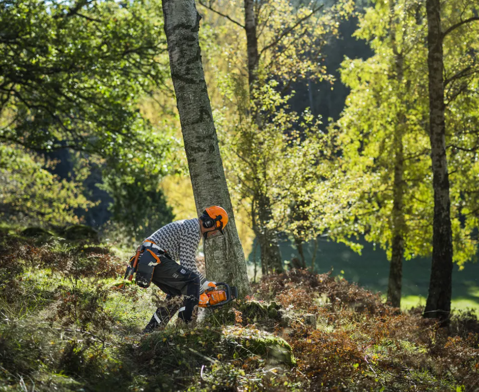 Tronçonneuse Husqvarna 450S - .325 - 1,3mm - Guide 45cm - 50 cm3 - 5,1 kg