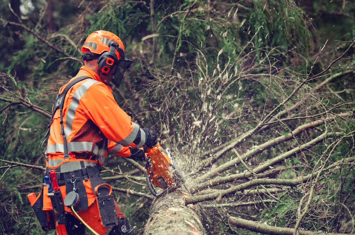 Tronçonneuse Husqvarna 564XP - Injection - 3/8 - 1,5mm - Guide 50cm - 63 cm3 - 5,8 kg