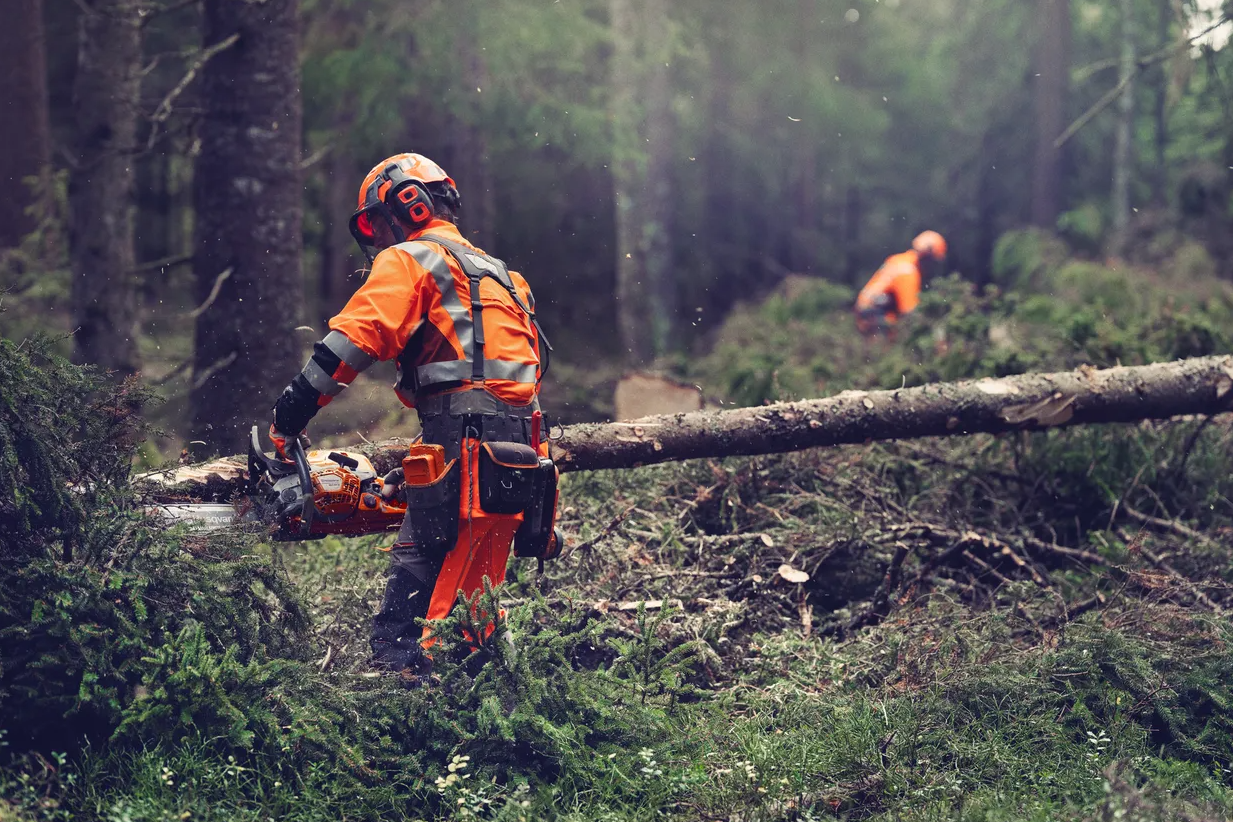 Tronçonneuse Husqvarna 564XP - Injection - 3/8 - 1,5mm - Guide 50cm - 63 cm3 - 5,8 kg