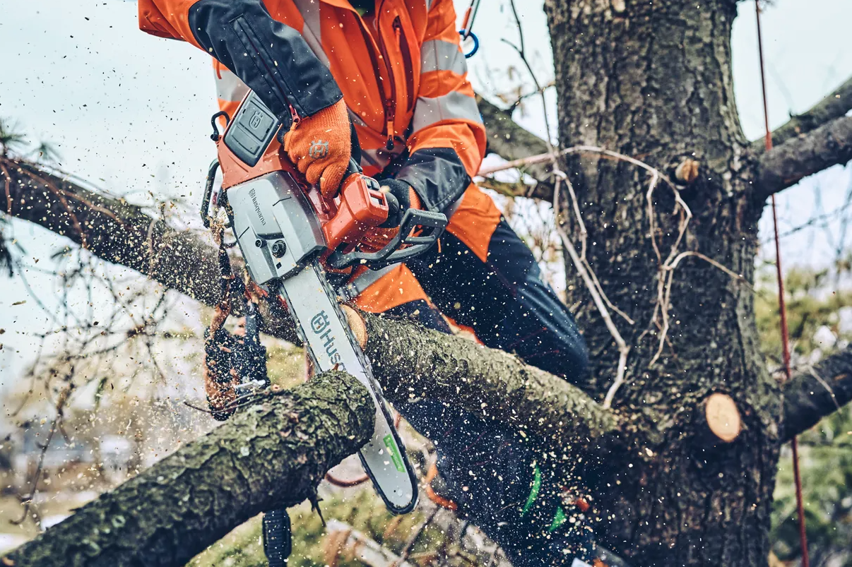 Tronçonneuse professionnelle à batterie Husqvarna T542iXP