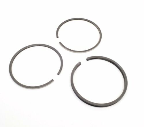 Jeu segments 23-1462 = Briggs & Stratton 295852