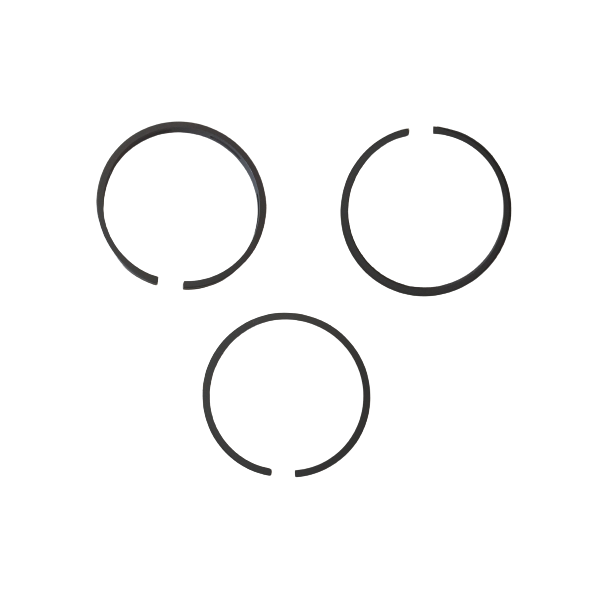 Jeu segments 163-084 = Briggs & Stratton 298983