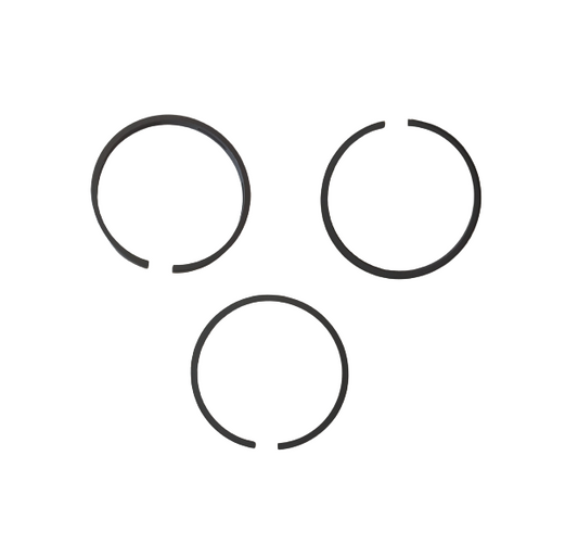 Jeu segments 163-084 = Briggs & Stratton 298983