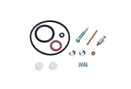 Kit carburateur Oregon 49-145 = BRIGGS & STRATTON 398158 / 398669 / 490931 / 492072 / 494349