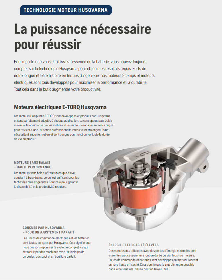 Scarificateur à batterie Husqvarna S138i pack avec batterie BLi20 + chargeur QC80