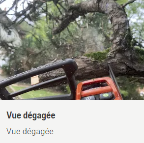 Tronçonneuse élagueuse professionnelle à batterie Husqvarna T540iXP