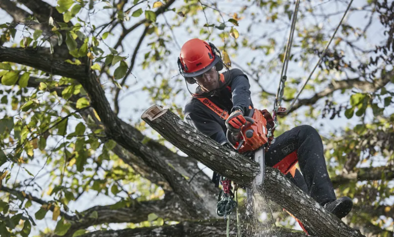 Tronçonneuse élagueuse professionnelle à batterie Husqvarna T535iXP